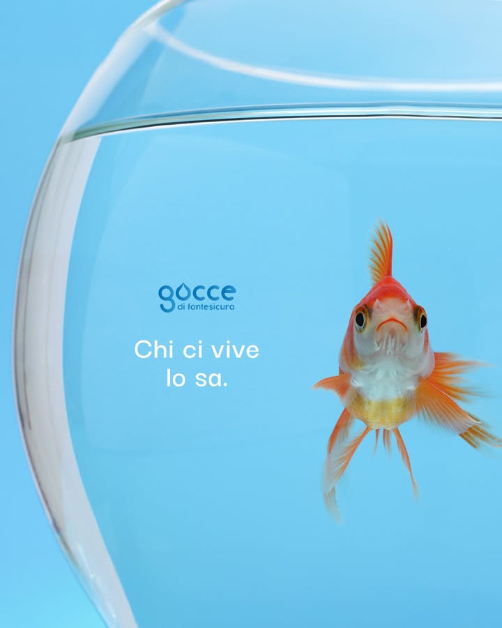 L'acqua è parte della nostra quotidianità, ogni giorno.
Con i depuratori